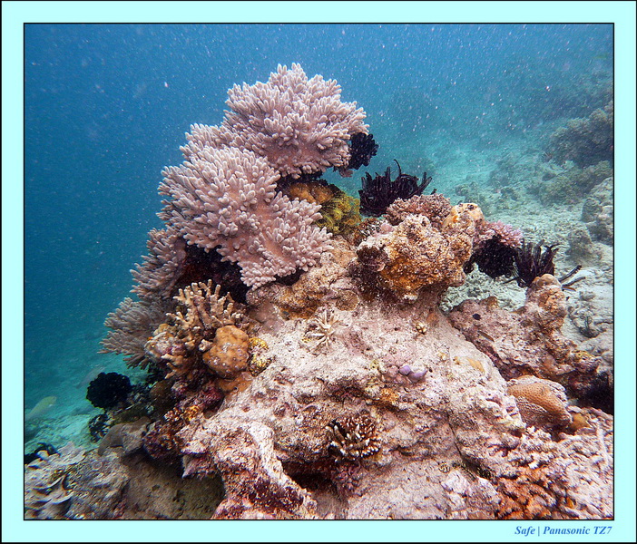 2011 - 08 - Bohey Dulang Island 03